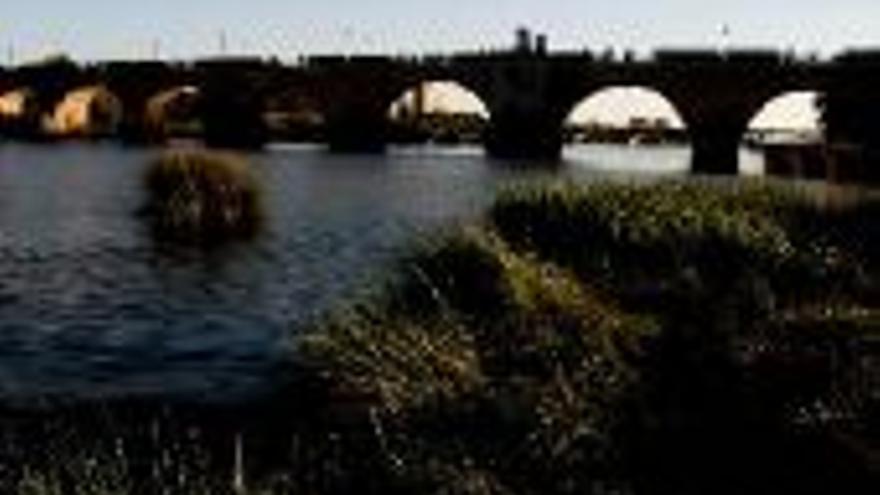 El certamen ´Badajoz en imágenes´ recibe 310 fotos del río y la ciudad
