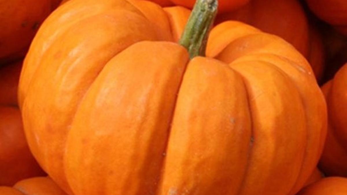 Los beneficios de la calabaza