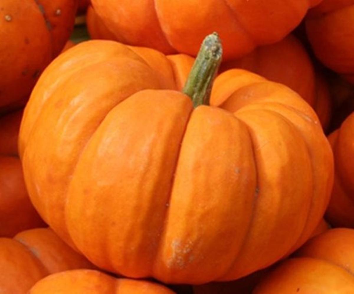 Els beneficis de la carbassa