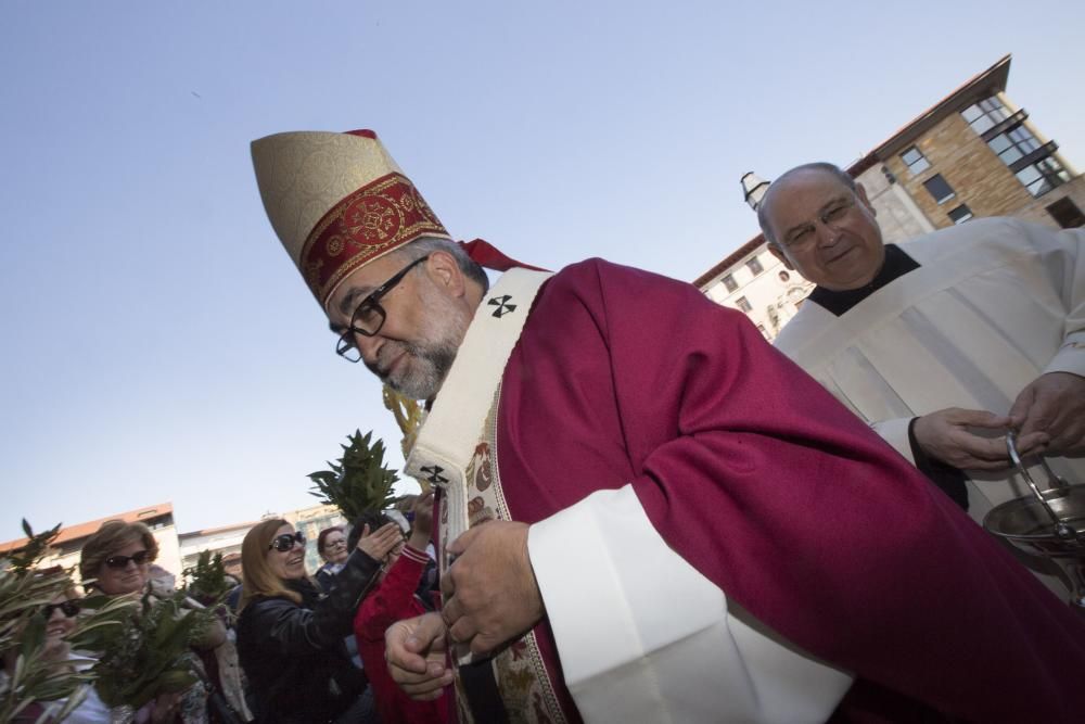 Bendición de ramos en la plaza de la Catedral