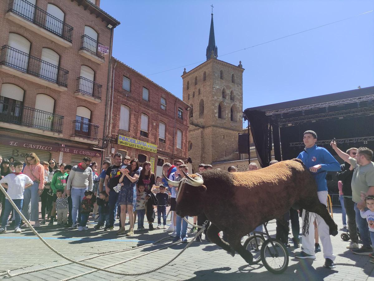 GALERIA | Así de bien lo pasan en Benavente con las Escuelas Taurinas de Gente del Toro