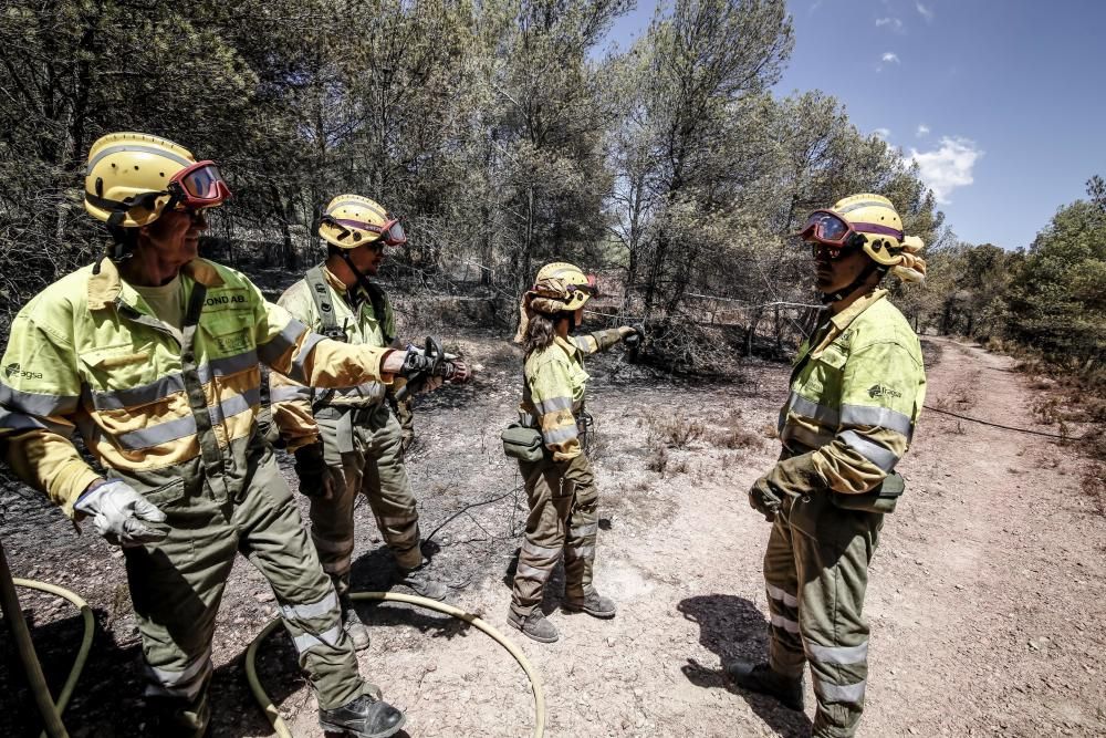 Incendio en La Torre de les Maçanes