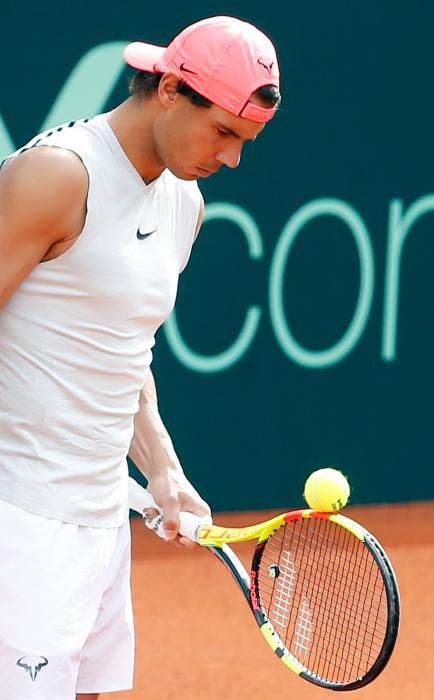 Rafa Nadal y David Ferrer entrenan en Valencia