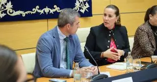 El Cabildo de Fuerteventura afea al Gobierno que no le informe sobre las tierras raras