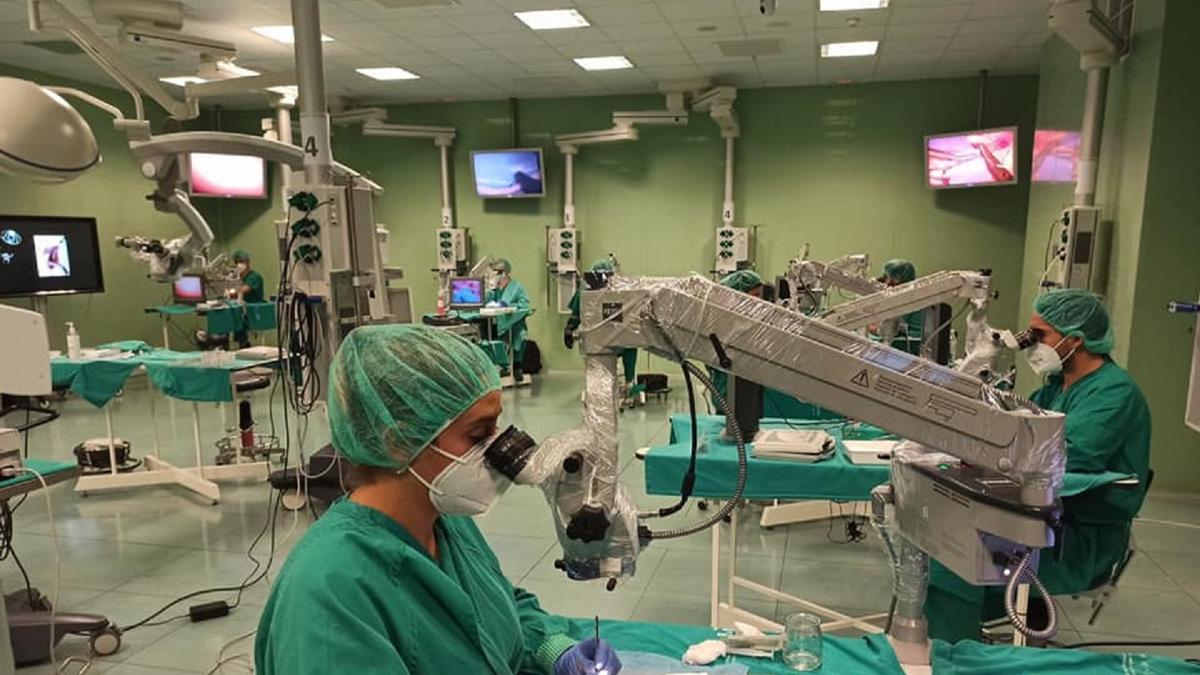 Curso de microcirugía en el Centro de Cirugía de Mínima Invasión Jesús Usón.