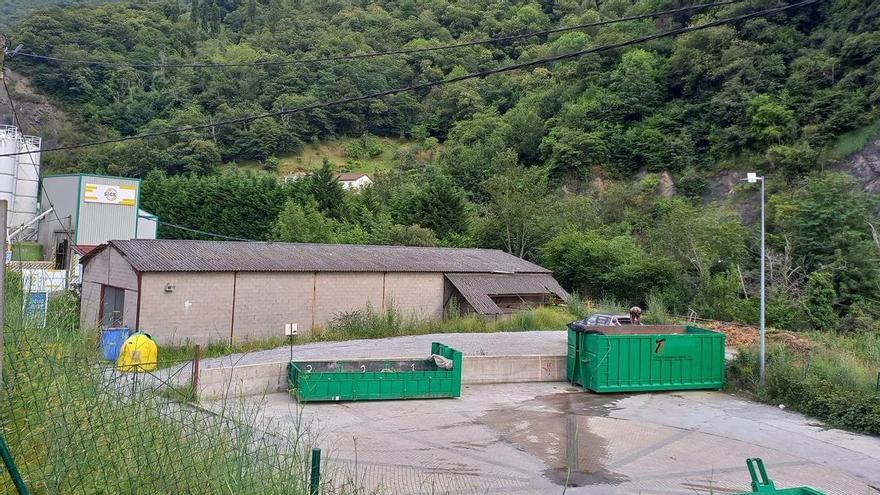 El mapa forestal allerano: El Ayuntamiento encarga un inventario de los bosques para promover economía sostenible