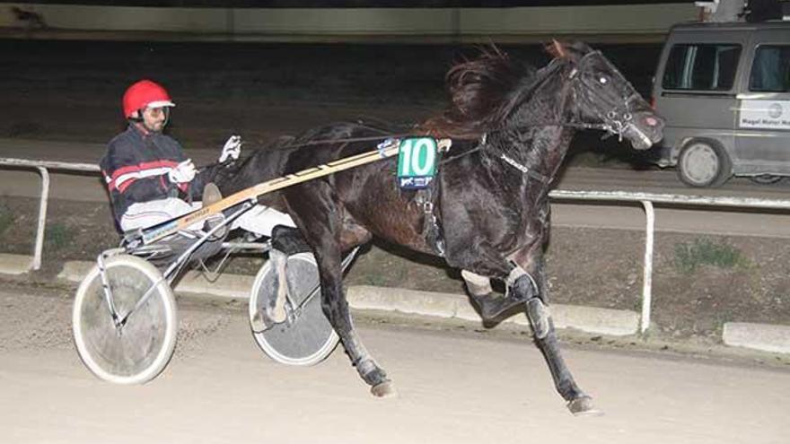 Veneno seduce en Manacor