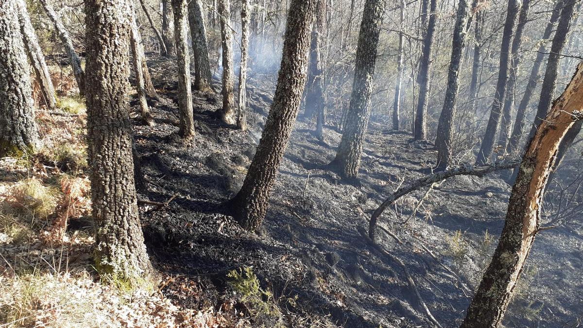 Incendio ayer en Sanabria.