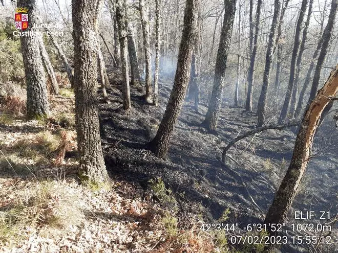 Zamora revive su peor pesadilla y registra dos incendios