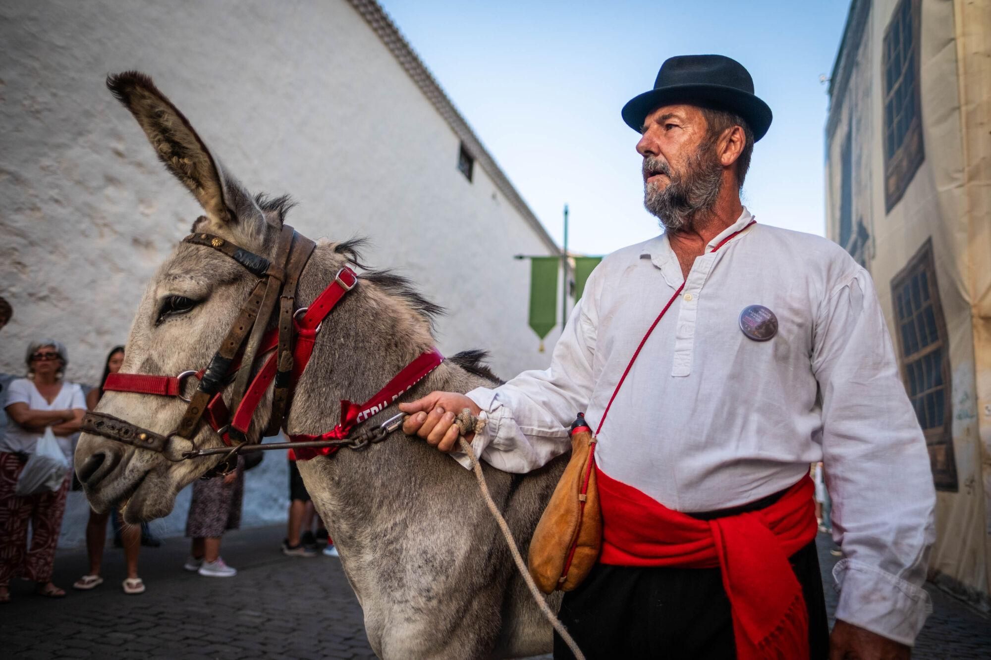 Día de los burros en La Laguna