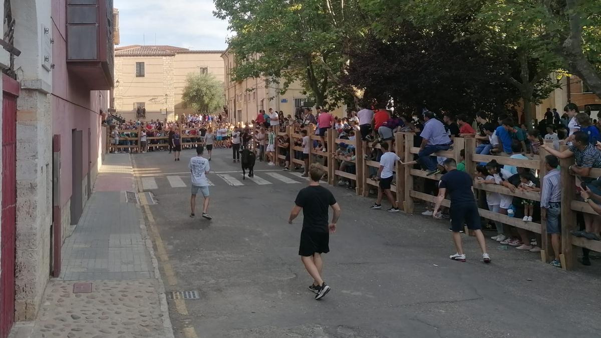 Varios jóvenes citan a la vaquilla en las inmediaciones de la plaza de toros.