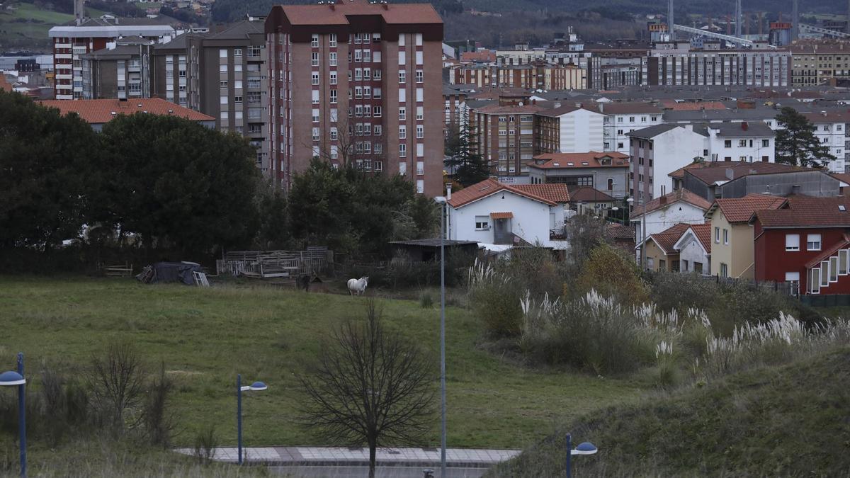 Los terrenos donde se proyecta construirlo.