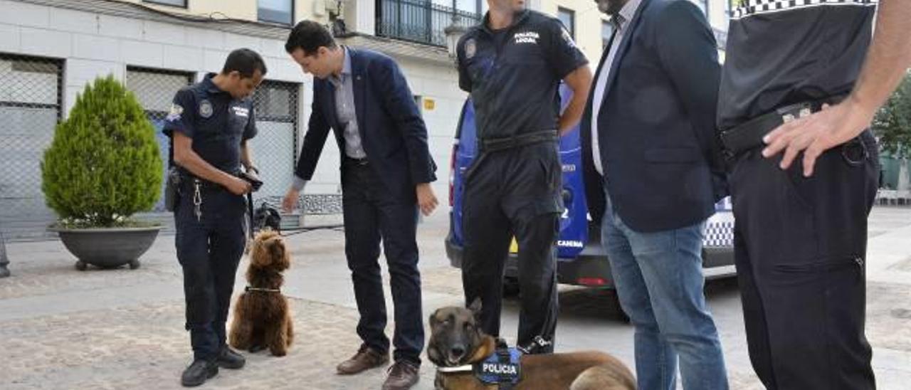 La unidad canina  se amplía