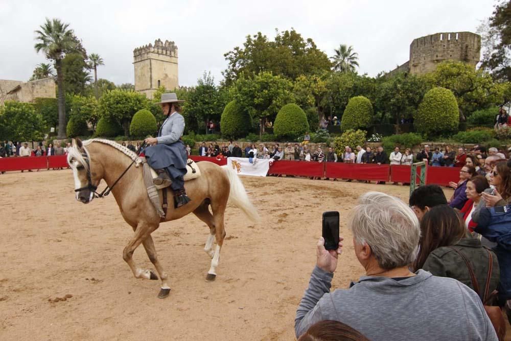 El caballo y su oficios en el Alcázar