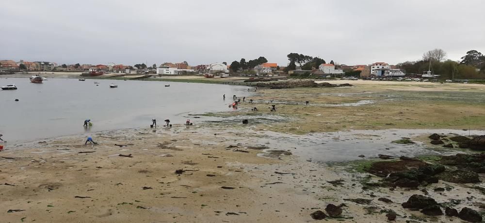 "Mareas vivas" en las rías gallegas.