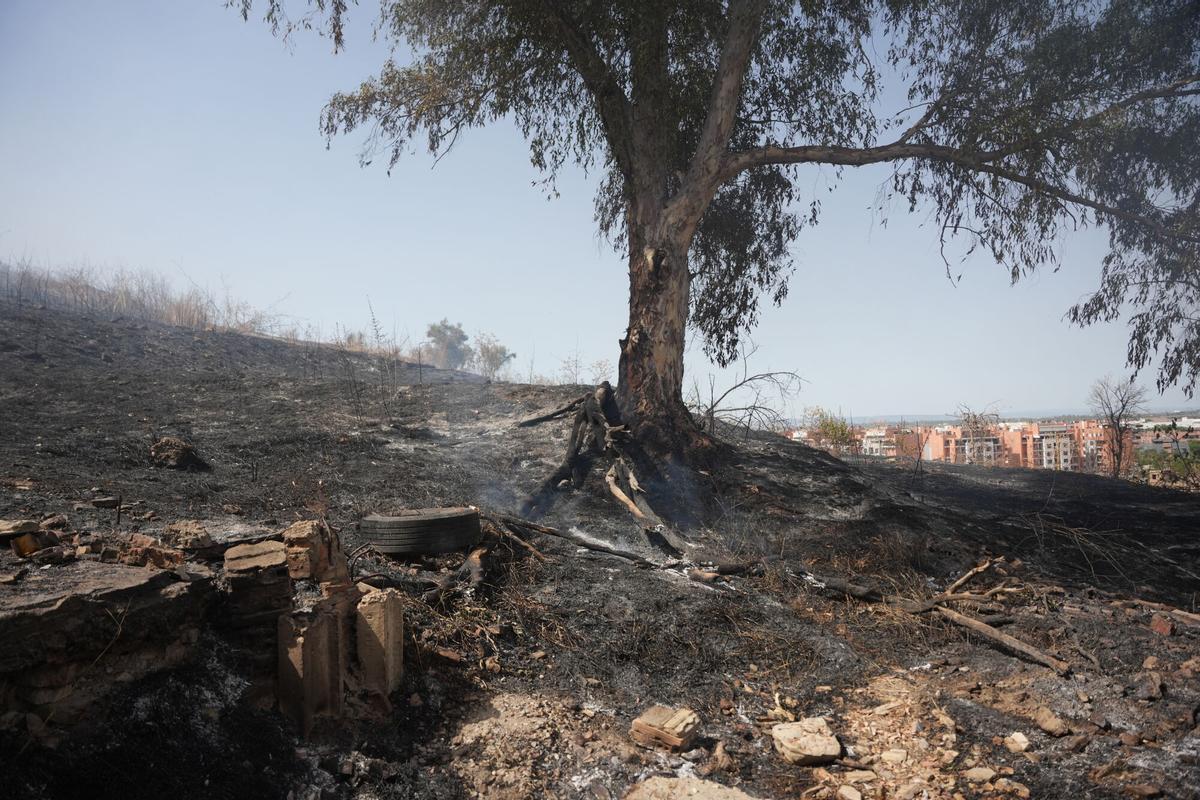 Imagen del incendio en la zona del Cerro del Carambolo en Camas (Sevilla).