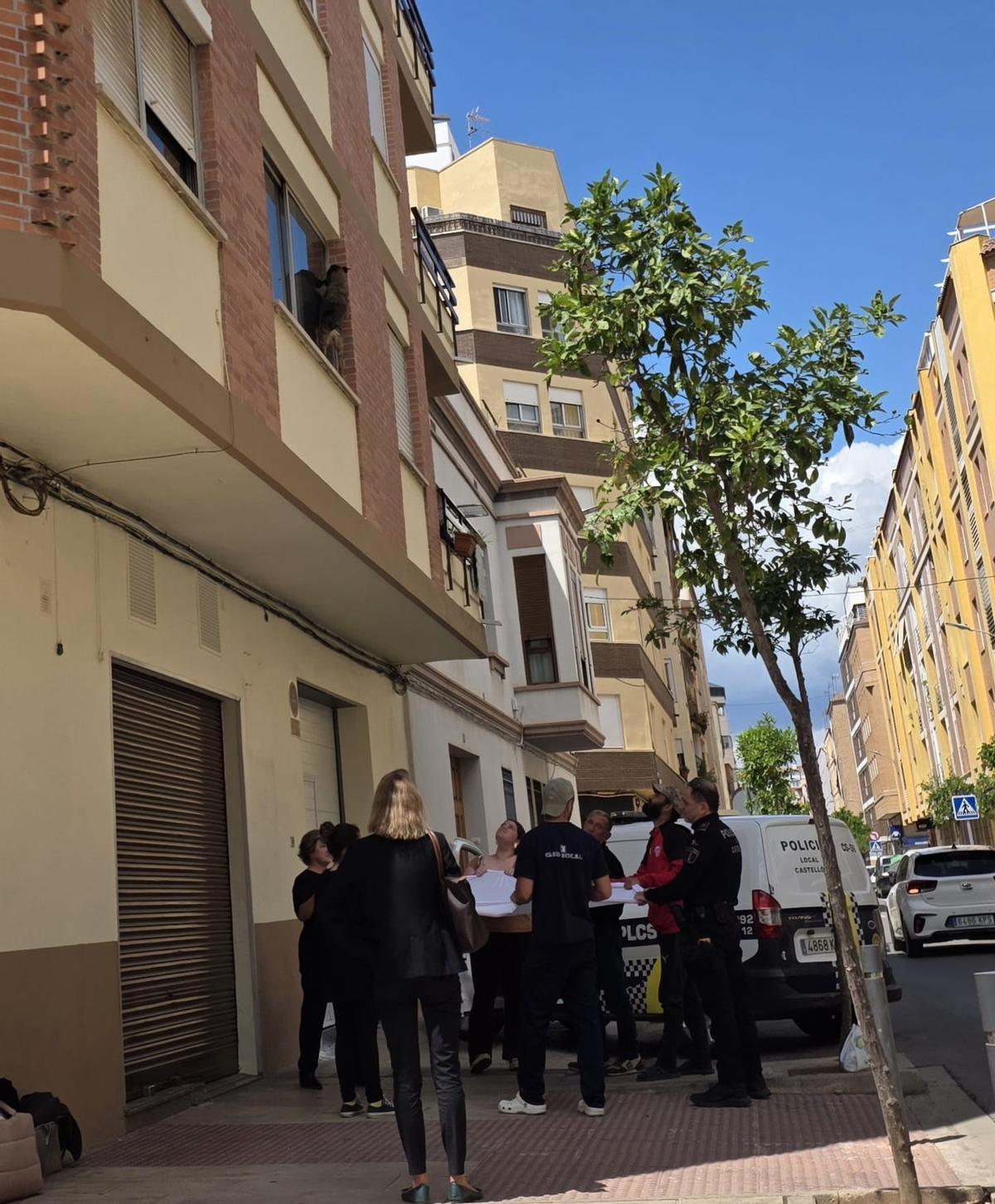 Los vecinos y la Policía Local mantienen una sábana ante el riesgo de caída del perro.