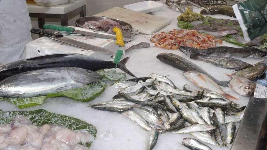 Un puesto del mercado de San Agustín con variedad de pescado y marisco fresco.