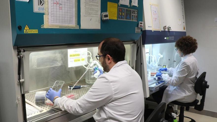 El CiMUS impulsa la investigación del autismo junto a asociaciones gallegas de pacientes