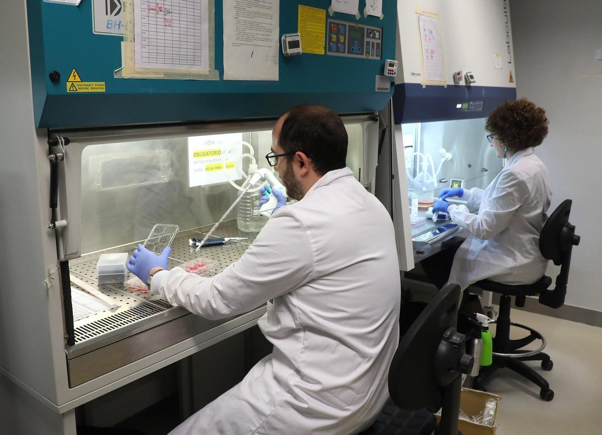 El CiMUS promueve junto a las asociaciones gallegas de pacientes una investigación más inclusiva para avanzar en la comprensión de la neurodiversidad y del TEA.
