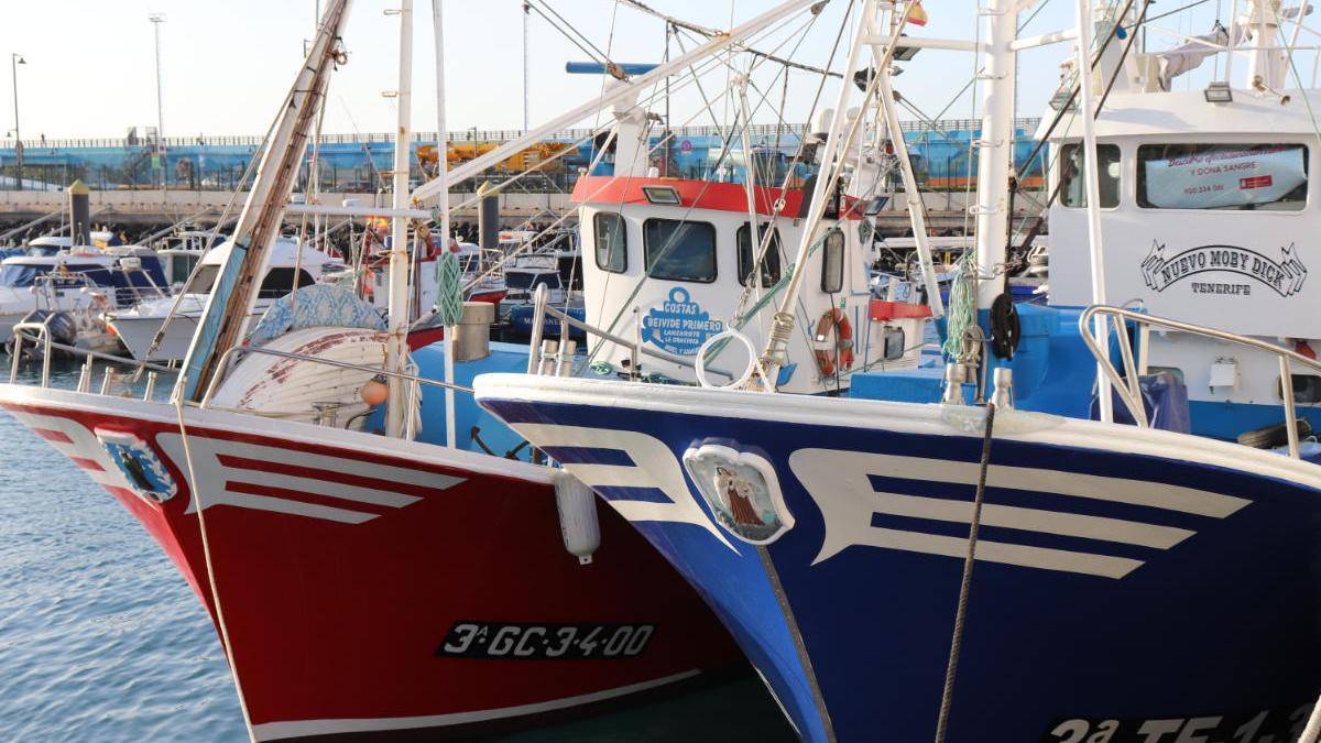 Pesca amplía las atribuciones profesionales del título de patrón local - La  Provincia
