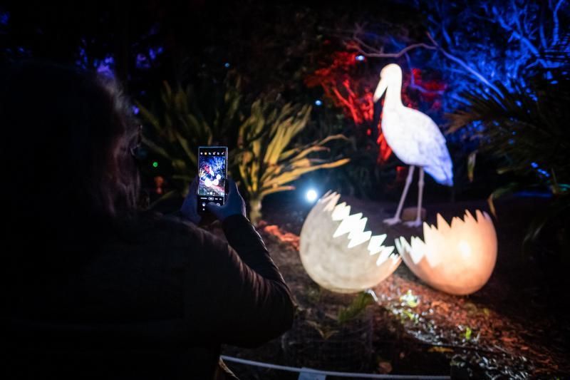 'Naturaleza Encendida'  en el Palmetum (Santa Cruz de Tenerife)