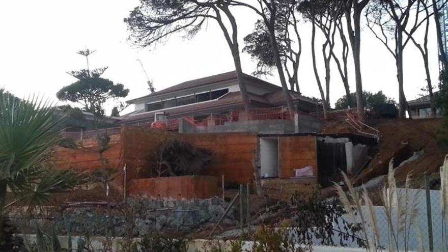 Imagen de una zona de pinar amenazada por unas obras, en Marbella.