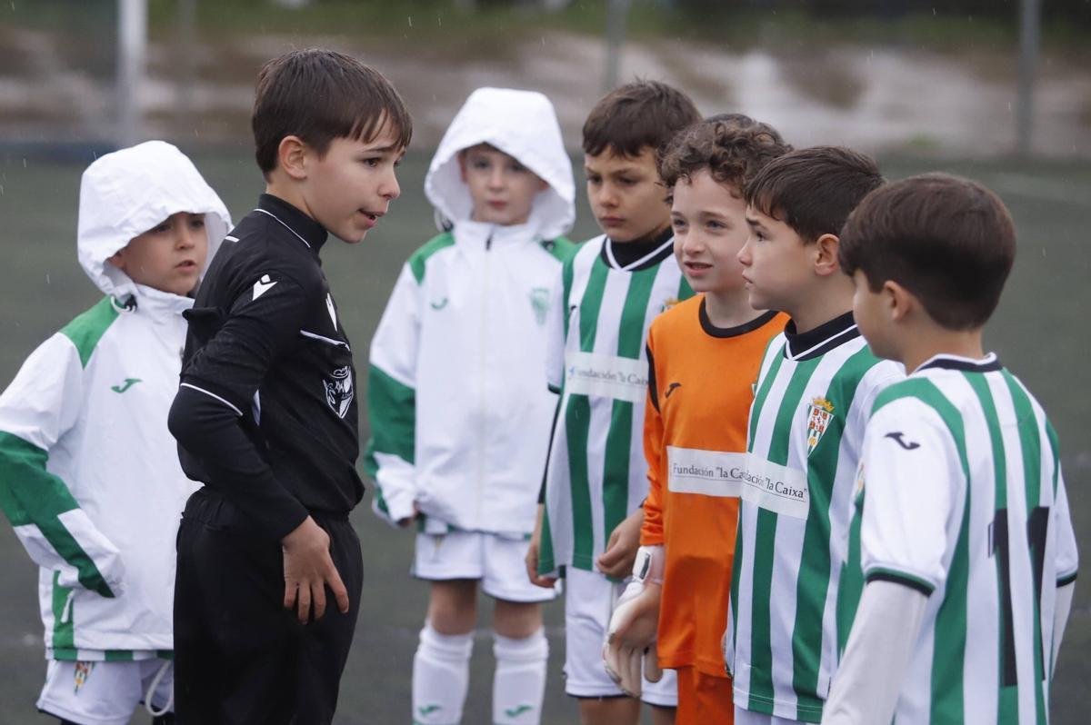 Alberto Rodríguez durante el C.D. Semilla blanquiverde-Córdoba CF de 3ª  Andaluza Prebenjamin.