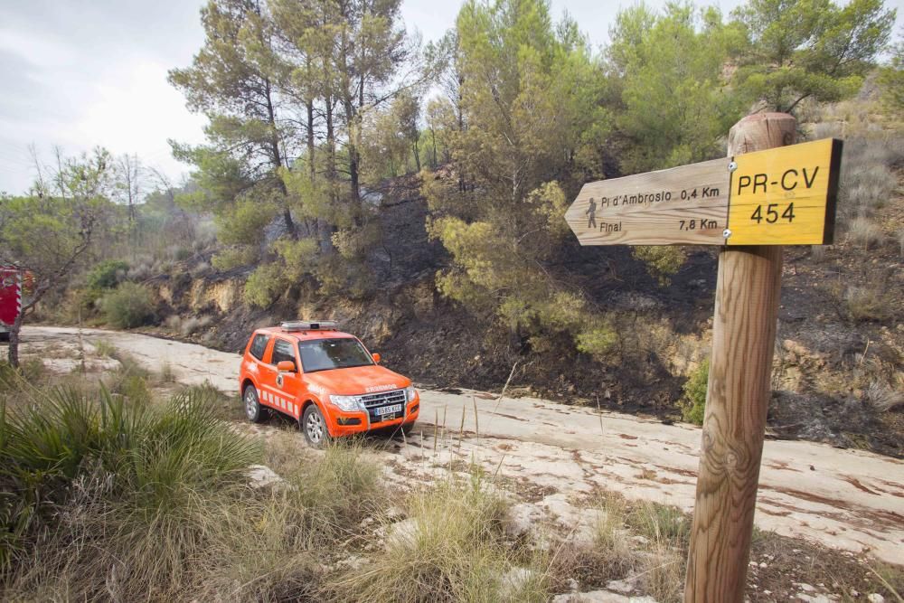 Incendio forestal en la zona el Pi d'Ambrosio de l'Ènova