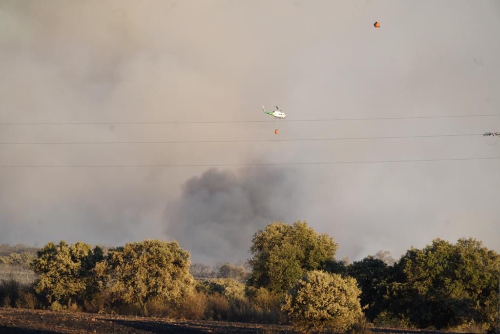 Incendio forestal en en el puerto del Calatraveño