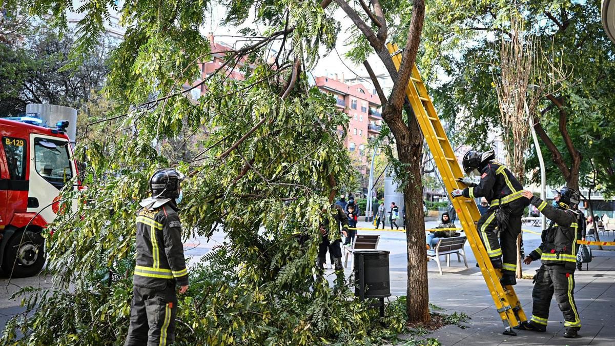 Barcelona activa l’alerta del pla d’emergència municipal per la previsió de vent