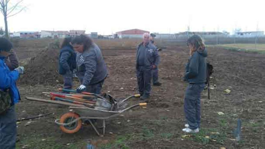 Los participantes en el programa mixto de formación y empleo de Morales preparan el terreno para plantar árboles y arbustos.