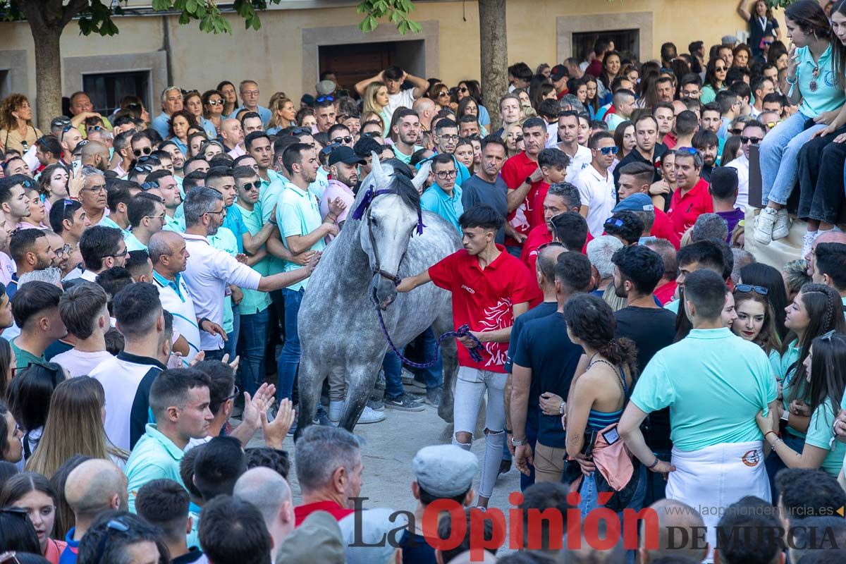 Entrega de premios del concurso morfológico de los Caballos del Vino de Caravaca