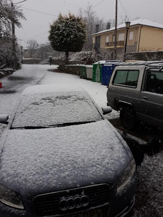 Nieve en Sanabria (enero 2019)