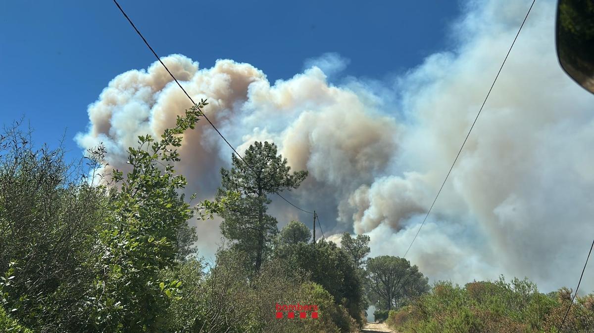 Crema sense control un incendi forestal a peu de les Gavarres a la Bisbal Crema sense control un incendi forestal a peu de les Gavarres a la Bisbal