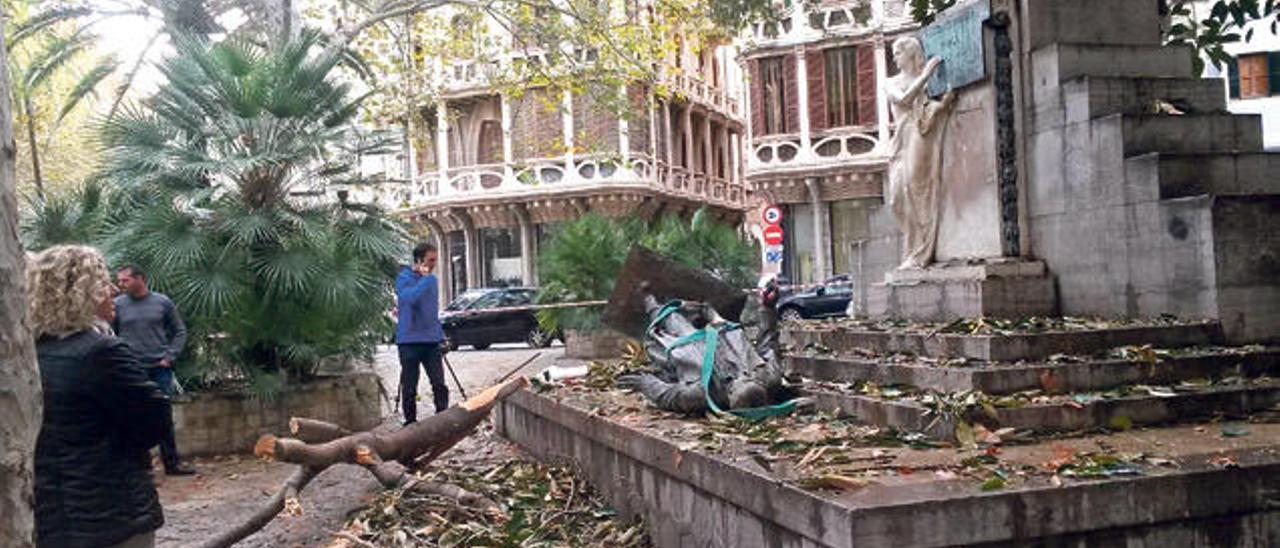 &quot;Divorcio consumado&quot; entre el monumento y el ficus