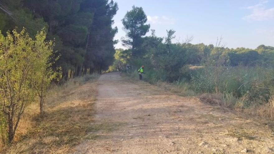 El Ayuntamiento de Ejea acondiciona montes, humedales y riberas