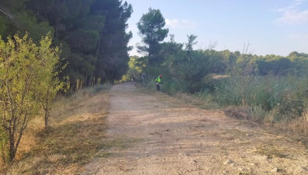 La inversión para estos trabajos supera los 78.000 euros.