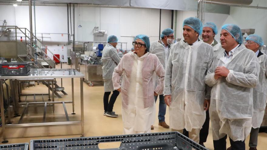 Mazón, en una de sus visitas de este viernes a empresas del Parque Empresarial L’Espartal III.