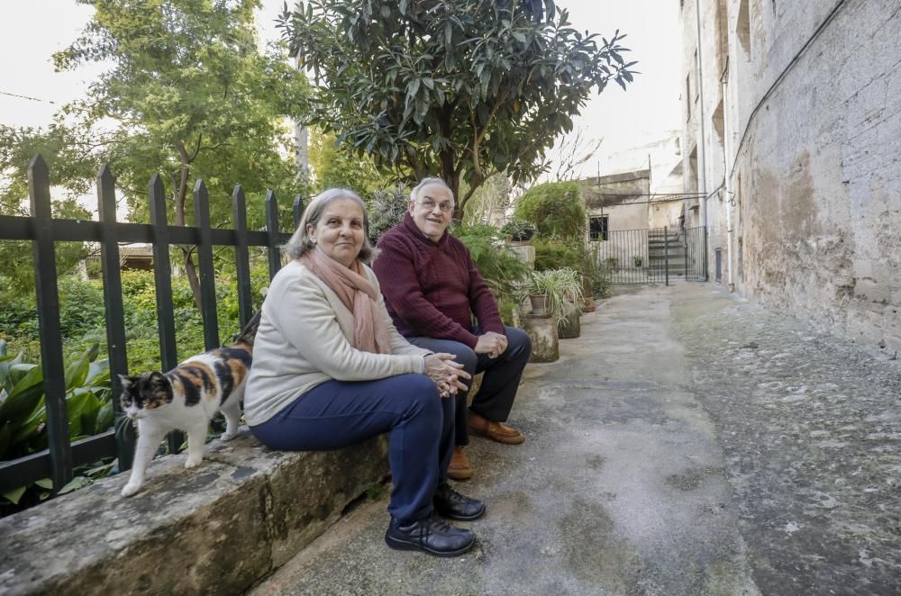 El Convent de les Caputxines de Palma muestra sus secretos