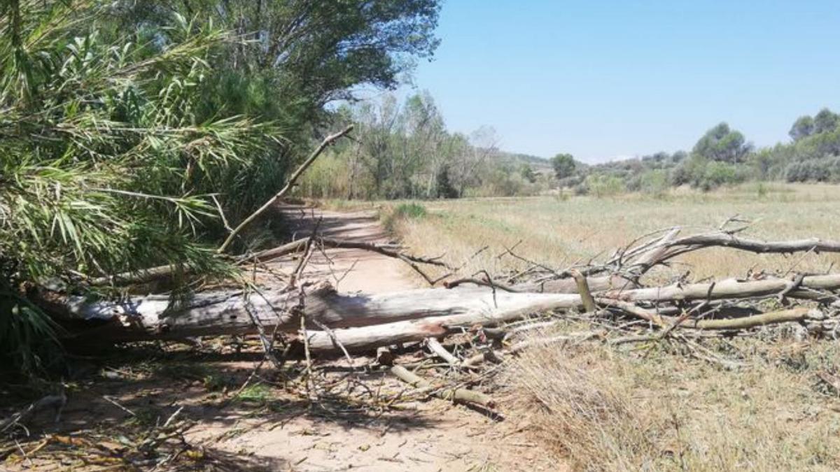 Afectacions per les pluges als camins del Grau i Can Poc Oli | ARXIU PARTICULAR