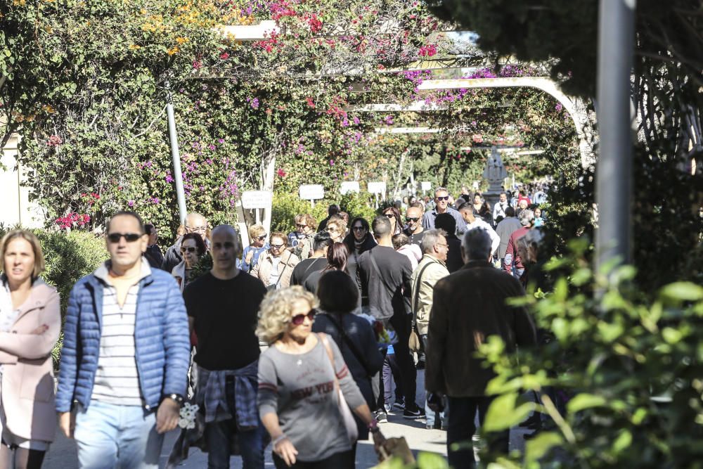 Lleno en el Cementerio de Alicante