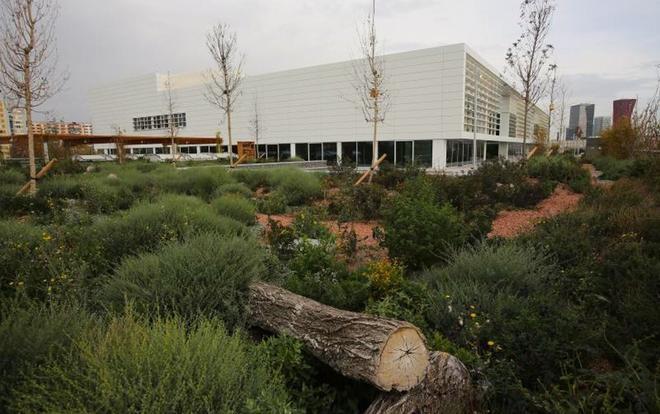 L’Hospitalet obre la porta al Biopol amb una incubadora de ‘start-ups’