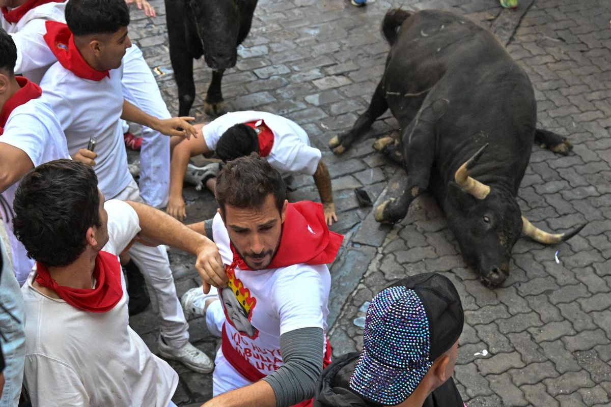 PAMPLONA, 13/07/2025.- Uno de los toros de la ganadería gaditana de La Palmosilla cae durante el séptimo encierro de los Sanfermines 2025 este domingo en Pamplona. EFE/Daniel Fernández