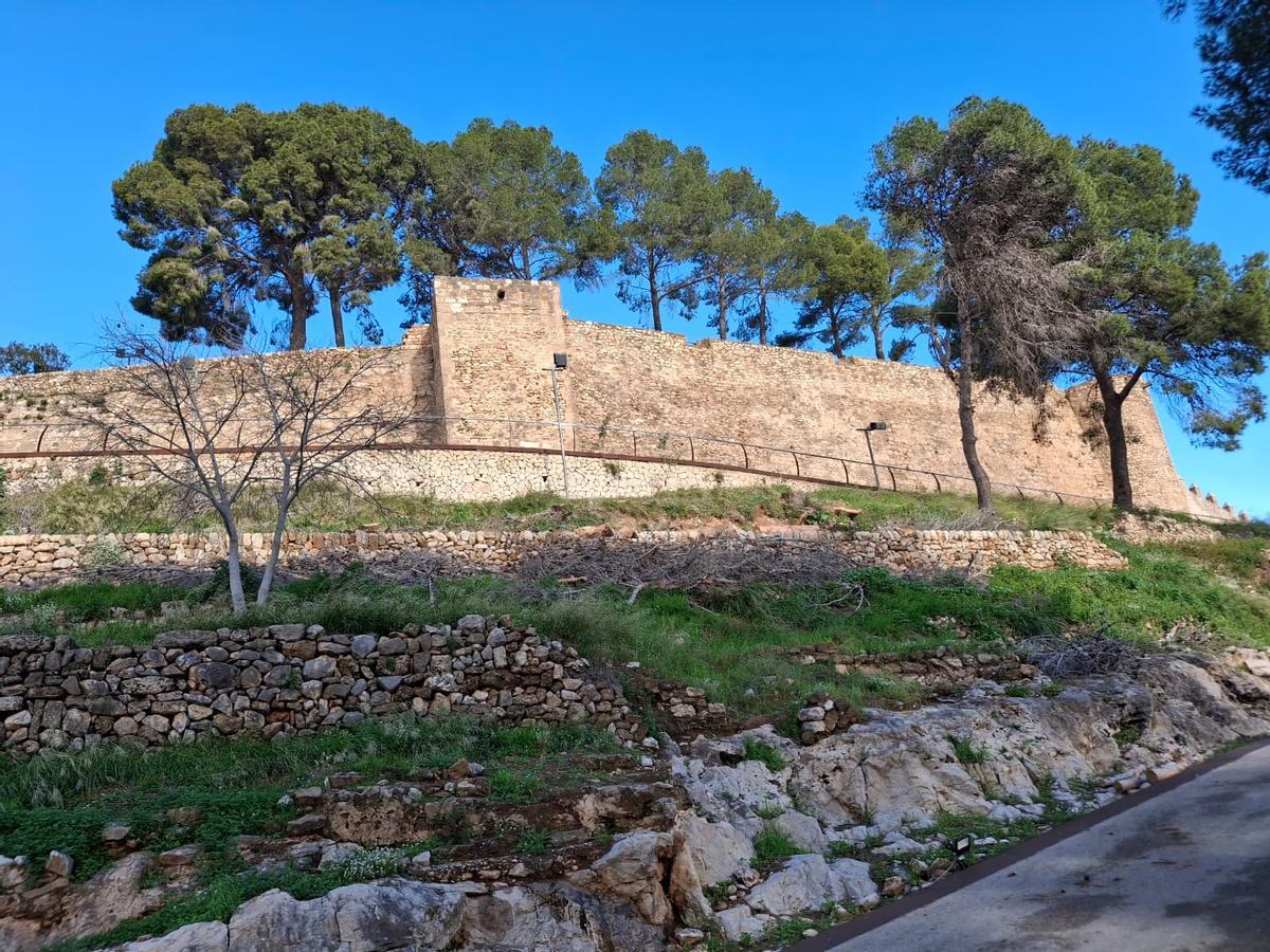 La fortaleza se ha quitado de encima la espesura de pinos muertos