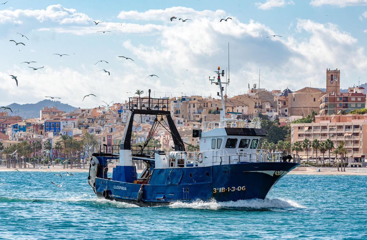 Desde el puerto pesquero se puede sentir la brisa y el aroma del mar.