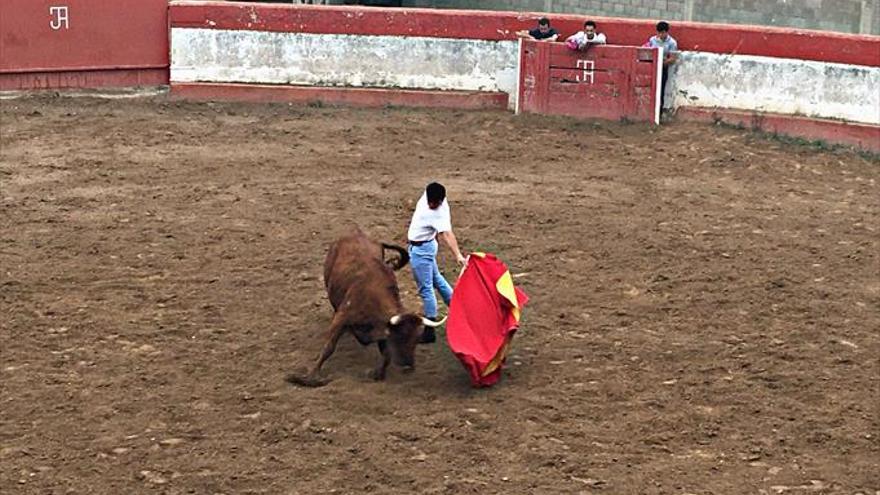 «Pedrolera» destaca en su primera tienta