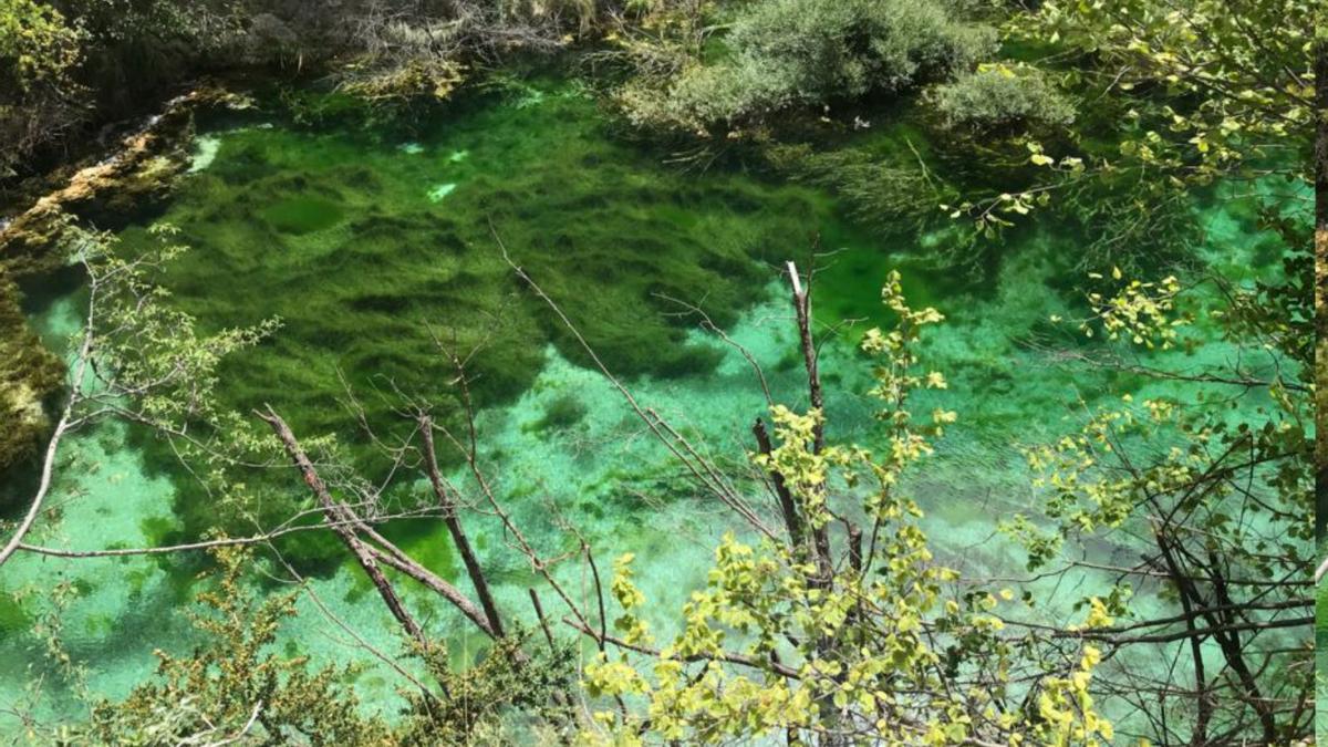 El medio ambiente y el futuro pagan el mal uso que se hace del agua