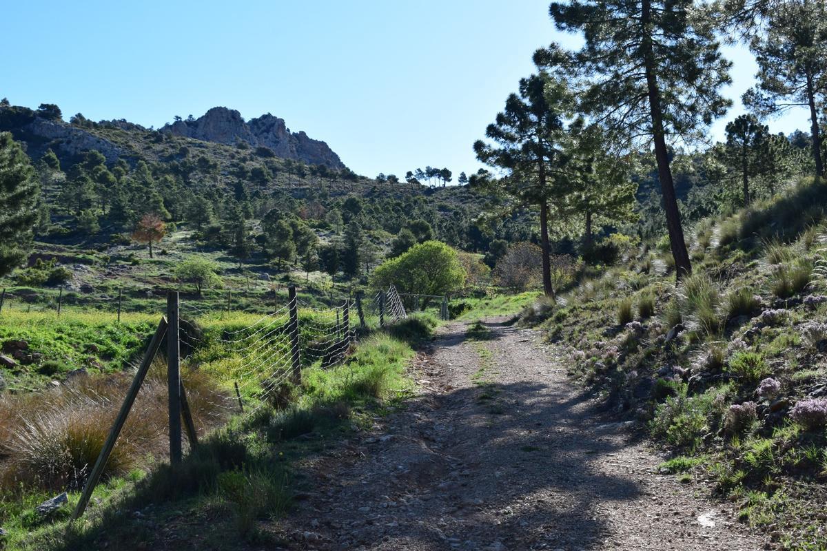 Parte del camino sobre el que se actuará.