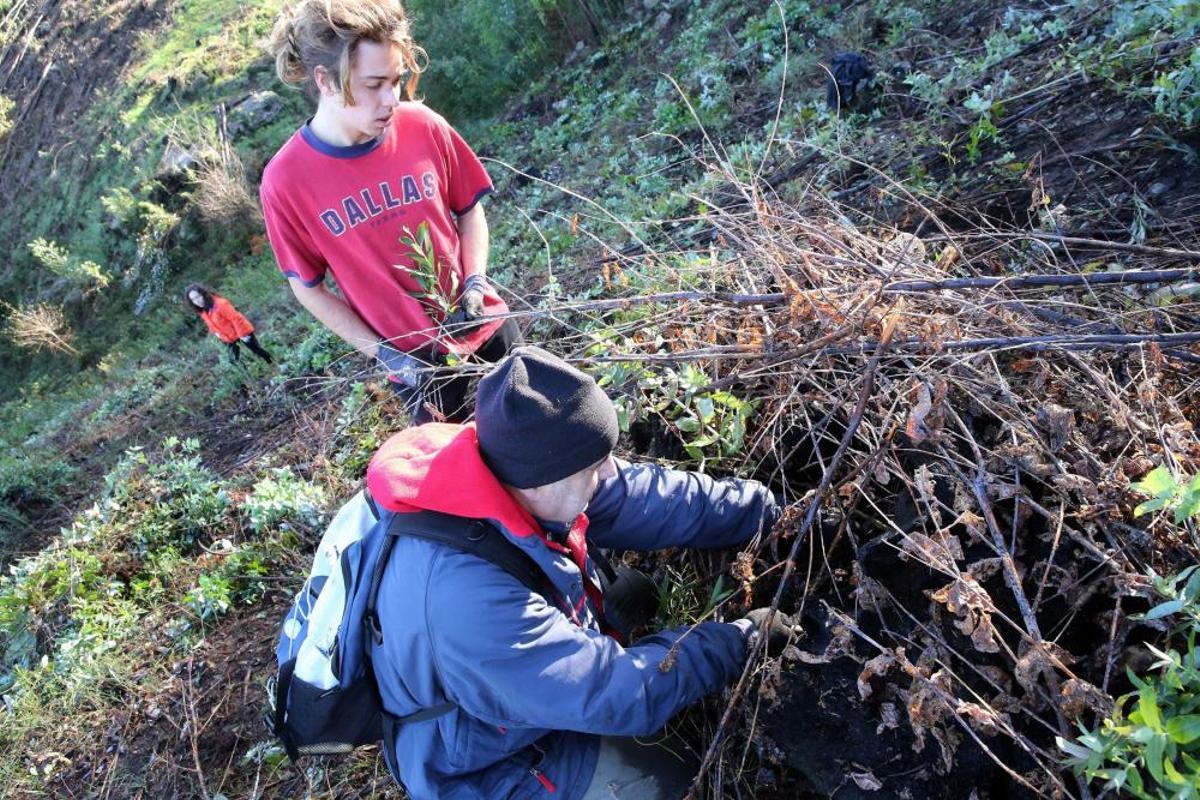 La Comunidad de Montes de Coruxo, que, en colaboración con las brigadas deseucaliptizadoras de Verdegaia, organizaron una jornada de voluntariado para liberar de eucaliptos el regato de O Pontón. La Comunidad de Montes de Coruxo, que, en colaboración con las brigadas deseucaliptizadoras de Verdegaia, organizaron una jornada de voluntariado para liberar de eucaliptos el regato de O Pontón.